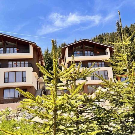 Boutique Villas Murgavets Pamporovo Kültér fotó