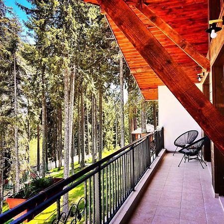 Boutique Villas Murgavets Pamporovo Kültér fotó