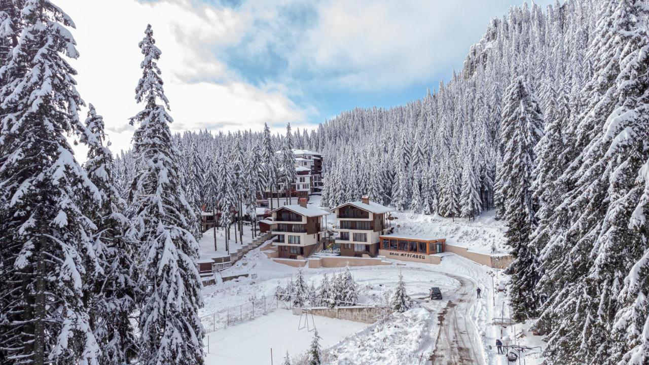 Boutique Villas Murgavets Pamporovo Kültér fotó