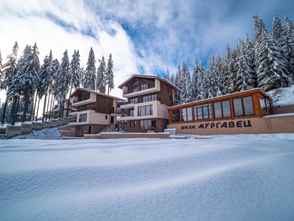 Boutique Villas Murgavets Pamporovo Kültér fotó