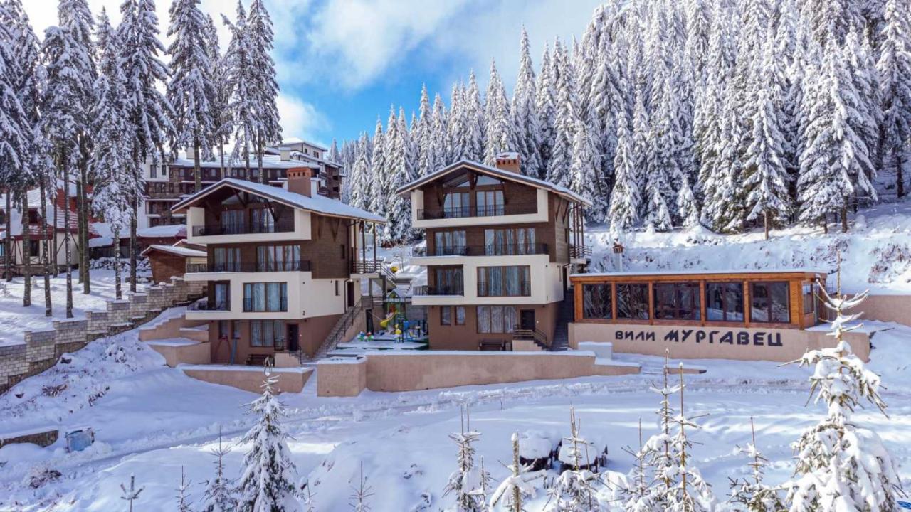 Boutique Villas Murgavets Pamporovo Kültér fotó