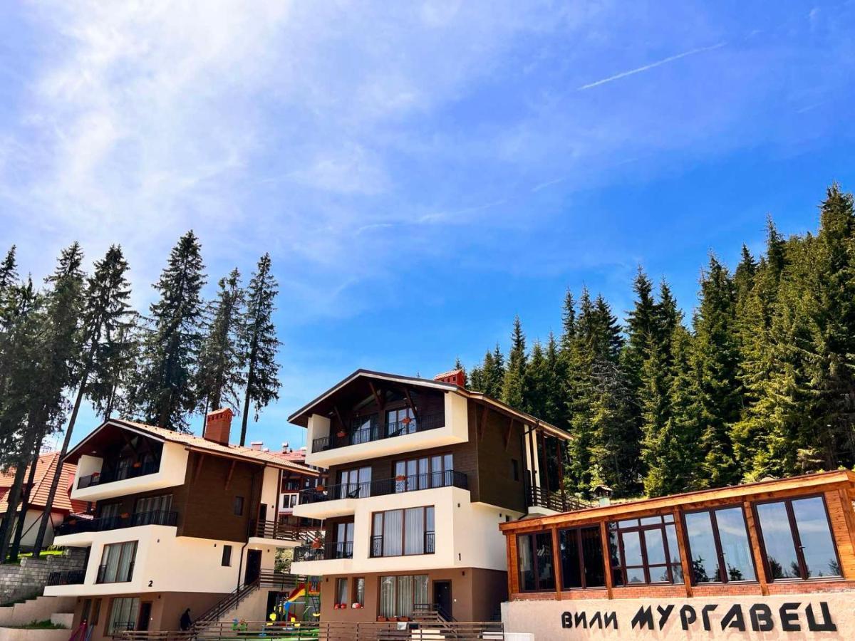 Boutique Villas Murgavets Pamporovo Kültér fotó